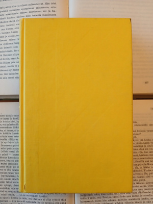 Don DeLillo - Valkoinen kohina (sid.)