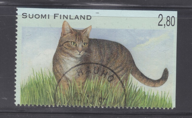 1995 Kissavihosta loistoleimainen. (2)