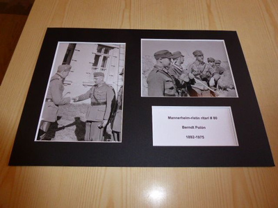 Mannerheim-ristin ritari valokuvat A4 paspis