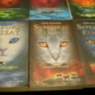 Erin Hunter: Soturikissat 1-6 - pikkukuva 3
