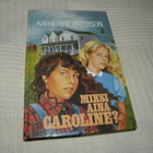 Katherine Paterson Miksi aina Caroline? - pikkukuva 1