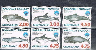 Grönlanti 1998 - Valaita (6) ++