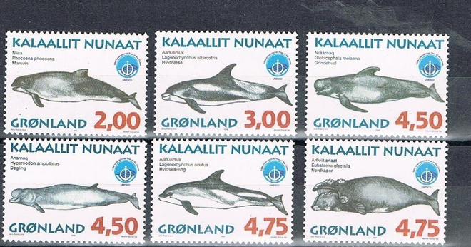 Grönlanti 1998 - Valaita (6)  ++