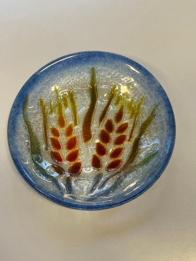 KORISTELAUTANEN läpimitta n 13 cm