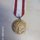Kotiritanma Naiset 1939 - 1945 Muistomitali Siisti - pikkukuva 1