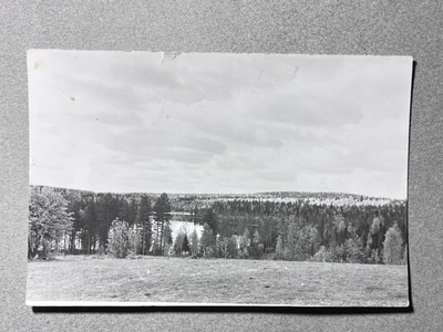 Pajukoski, maisema 1958