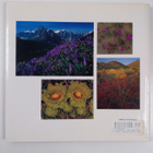 Graham Osborne : Wildflowers - Seasonal Splendors of the ... - pikkukuva 2