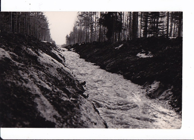 VANHA Valokuva Jalasjärvi Korvaneva 1930-l Postikorttikoko