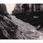 VANHA Valokuva Jalasjärvi Korvaneva 1930-l Postikorttikoko - pikkukuva 1