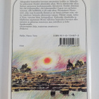Michael Ende : Momo : merkillinen tarina harmaista herroi... - pikkukuva 2