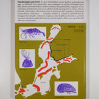 Yleisbiologian perusteet lukioita varten 3 - pikkukuva 2