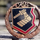 Pronssivärinen Karjalaliiton merkki. Halkaisija - 23 mm. - pikkukuva 1