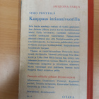 Simo Penttilä: Kaappaus intiaanivuorilla - pikkukuva 2