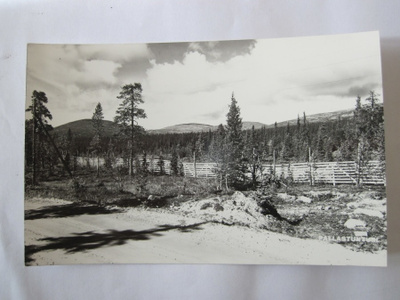 Postikortti Lappi Pallastunturi 1950-l Alkup.Mallikappale