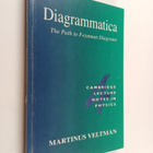 Martinus Veltman : Diagrammatica : the path to Feynman rd... - pikkukuva 1