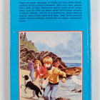 Enid Blyton : Viisikko karkuteillä - pikkukuva 2