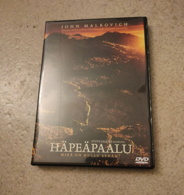 häpeäpaalu