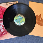 CAPABILITY BROWN - Voice LP - pikkukuva 4