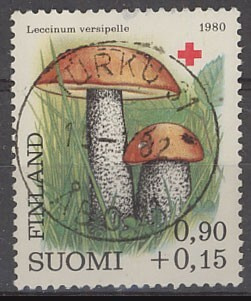 1980 PR 90p loisto Turku-82
