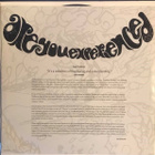 Jimi Hendrix – Are You Experienced (MEGA RARE USA mono-LP) - pikkukuva 4