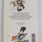 Värikäs lintukuvasto - pikkukuva 2