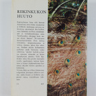 Victoria Holt : Riikinkukon huuto - pikkukuva 2