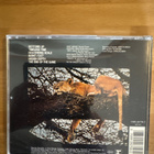 Peter Green - The end of the game CD - pikkukuva 2