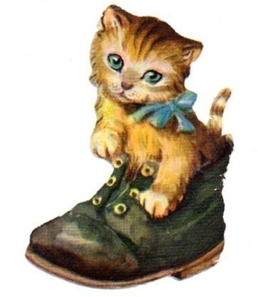 AFKH 48 / Kissanpentu vanhassa kengässä. 1950-l.