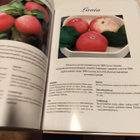 Pohjoisen omenat - pikkukuva 5