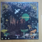 WIZZARD SLEEVE : Make The World Go Away LP - pikkukuva 1
