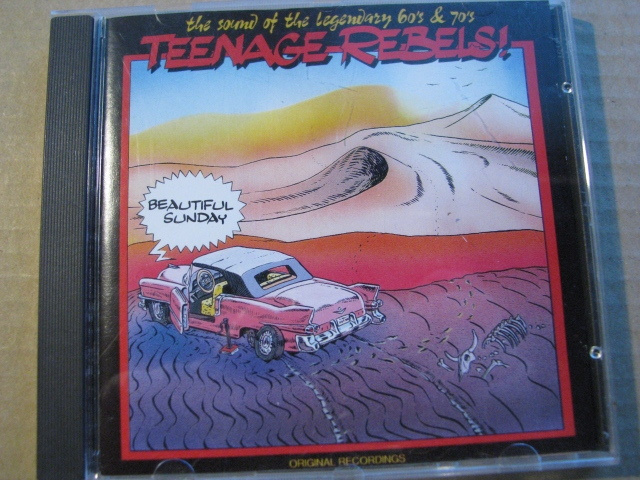 TEENAGE - REBELS / Beautiful Sunday