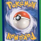 Pokémon Rockruff - pikkukuva 2