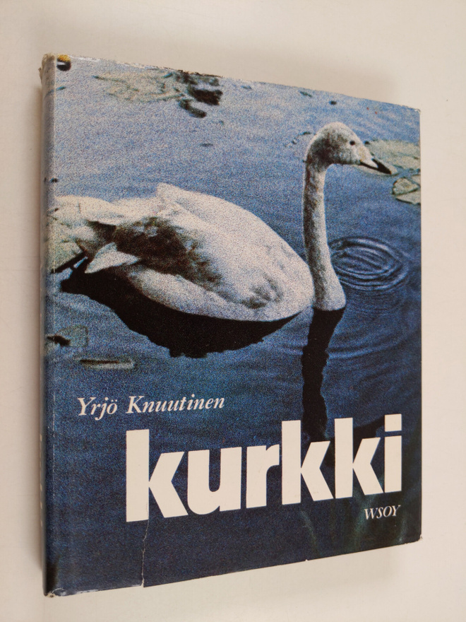 Yrjö Knuutinen : Kurkki