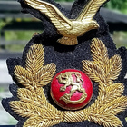 SA-ilmailukokardi. Ehjät laattapiikit. Kokardin koko: 83 mm. - pikkukuva 5