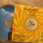 Hunajamelonit . Sankaripoika CDS single - pikkukuva 2