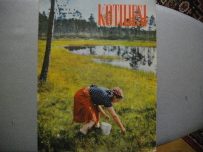 Kotiliesi Nro 17/1953 (15.3)