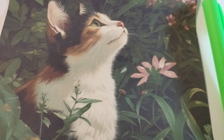 Kissa kuva.