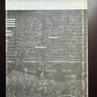 Anus mundi, Auschwitzin vanki n:o 290 - pikkukuva 3