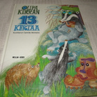 Olipa kerran 13 kertaa - pikkukuva 1