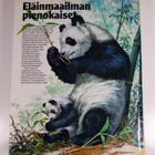 Eläinmaailman pienokaiset - pikkukuva 2