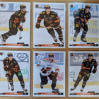 2023-24 Cardset Series 2 KooKoo Team Set 12 korttia (253-264 - pikkukuva 2