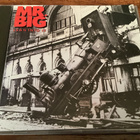 Mr. BIG - Lean Into It - pikkukuva 1