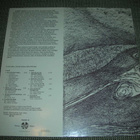 LP aarnivalkea: Joutsenen poika - pikkukuva 2