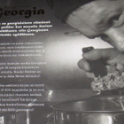 Ville Haapasalo, Makujen matka Georgia - pikkukuva 2