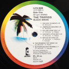 THE TRIFFIDS Present The Black Swan ~ LP - pikkukuva 4