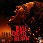 Evil Dead Burn (57 408) UUSI BLU-RAY 2026 - pikkukuva 2