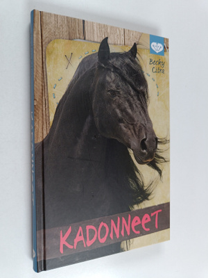 Becky Citra : Kadonneet