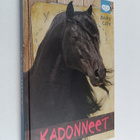Becky Citra : Kadonneet - pikkukuva 1