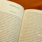 Herman Melville – Moby Dick (suomenkielinen) - pikkukuva 2
