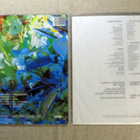 THE ASSOCIATES: Sulk LP  (Eurooppa 1982) Vaihtoeht biisit - pikkukuva 2